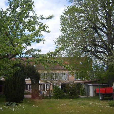 Gite Du Vieux Tilleul Fère-en-Tardenois Екстериор снимка