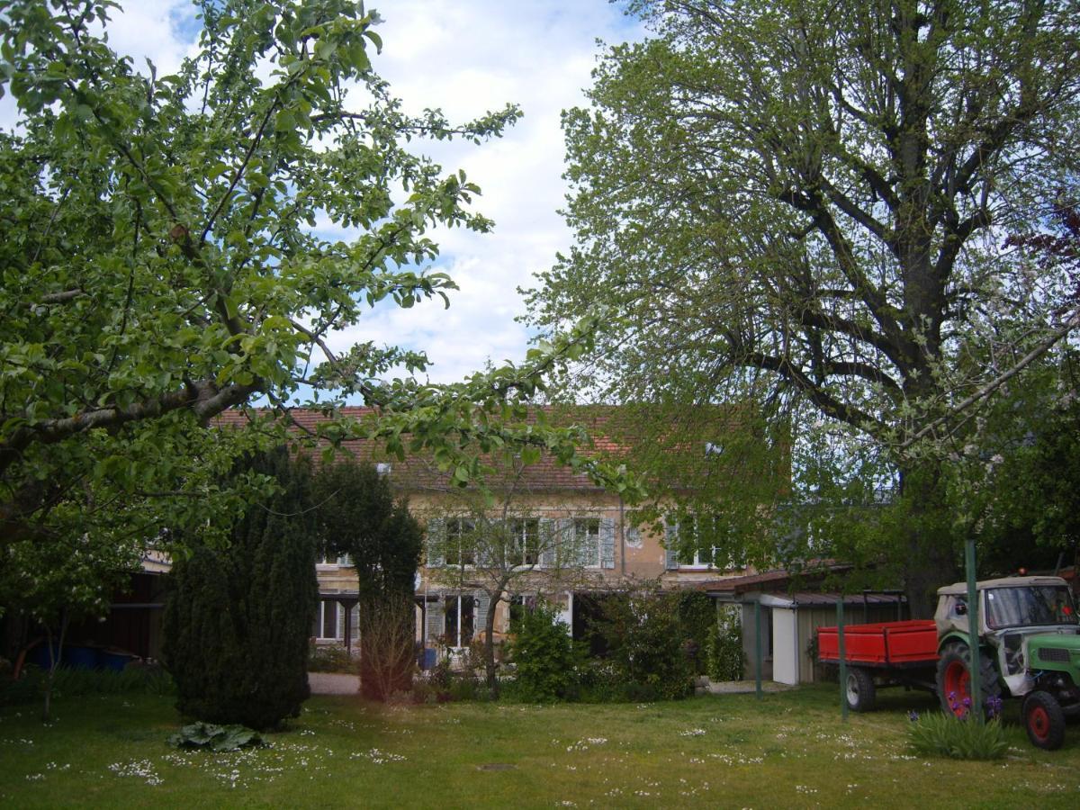 Gite Du Vieux Tilleul Fère-en-Tardenois Екстериор снимка